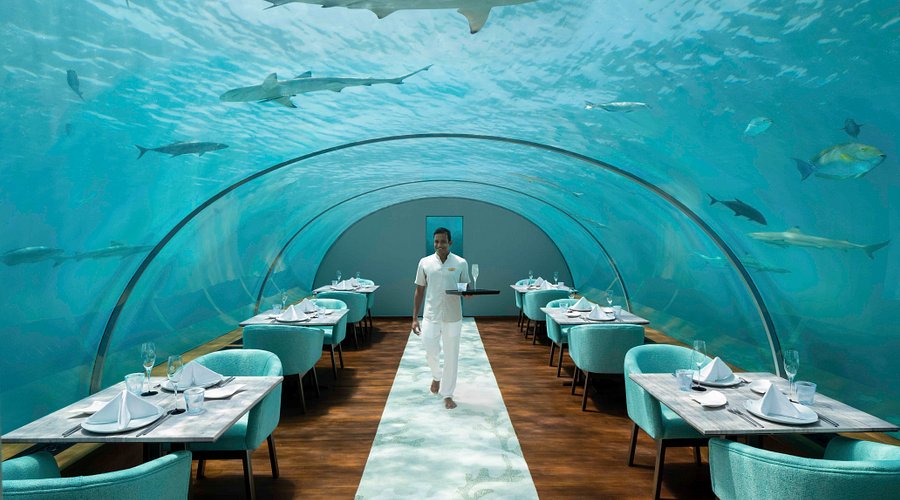 Ithaa Undersea